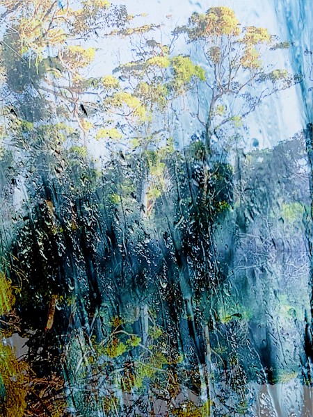 Art, Land, Nature, Outdoors, Painting, Scenery, Tree, Vegetation, Water, Woodland